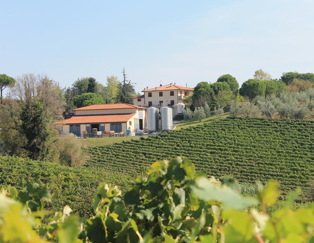 Azienda vinicola e olivicola a Chianti, Toscana